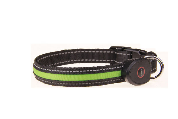Honden-Led-Halsband-Groen-USB-oplaadbaar-Dogsandco - & Co