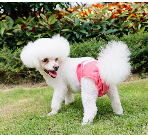 Loopsheidbroekje Roze Dogs&Co