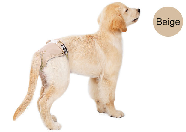 Loopsheidbroekje Beige 