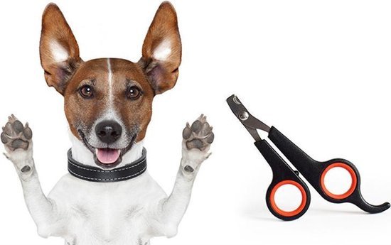 Nagelknipper huisdier – Nagelschaar - Geschikt voor hond / kat / kleine huisdieren