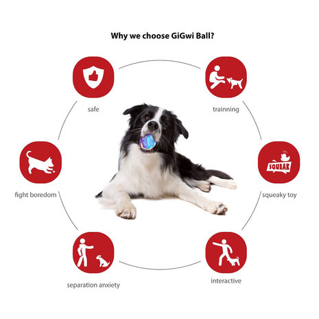 Gigwi squeaky  Ball  maat L