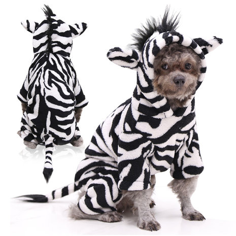 Zebra outfit voor kleine honden 