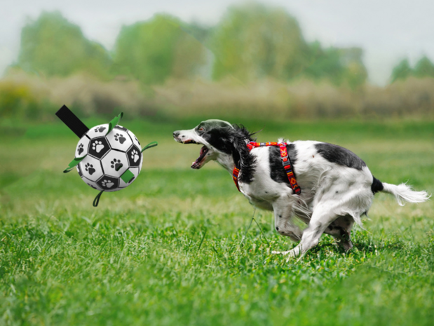 Honden Speelgoed Bal Voetbal Extra Sterk Met Handvaten  - 15 cm 