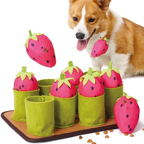  Snuffelmat Aarbei- Anti schrok - Speelmat  - Trainingsmat - Snuffelmat  - Denkspel hond