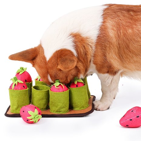  Snuffelmat Aarbei- Anti schrok - Speelmat  - Trainingsmat - Snuffelmat  - Denkspel hond