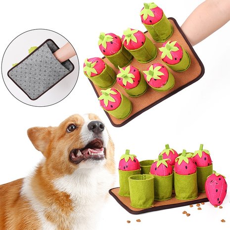  Snuffelmat Aarbei- Anti schrok - Speelmat  - Trainingsmat - Snuffelmat  - Denkspel hond