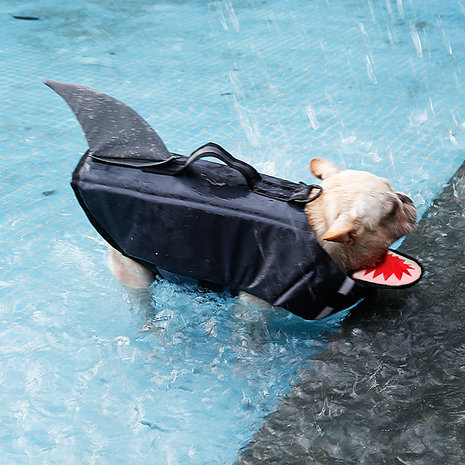 Zwemvest voor honden  SHARK Grijs