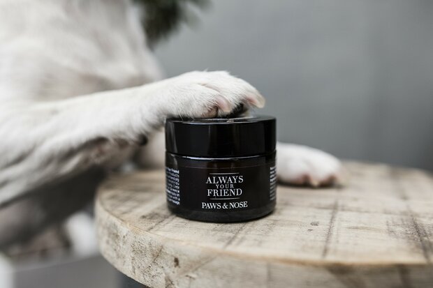Alway your Friend  Paws & Nose Balm 