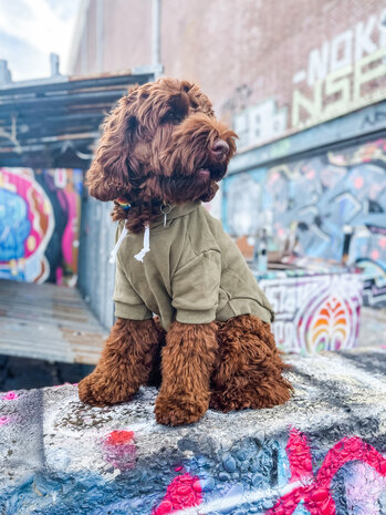 Dogs&Co Honden Sweater -  Hoodie voor honden Army Green