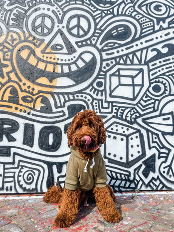 Dogs&Co Honden Sweater -  Hoodie voor honden Army Green