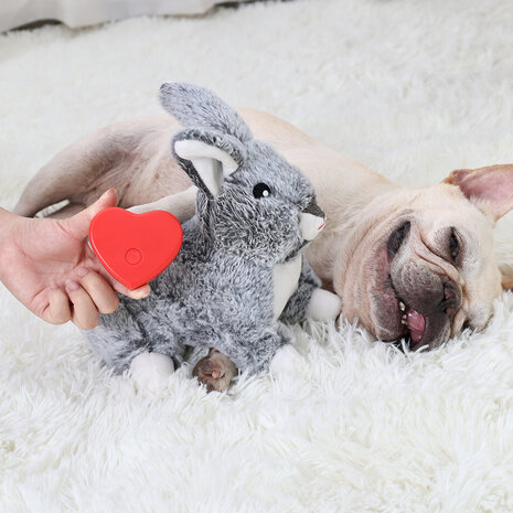 Heartbeat Konijn voor Puppy's