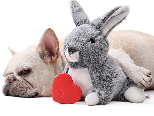 Heartbeat Konijn voor Puppy's