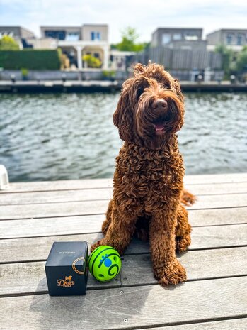 Dogs&Co Interactieve speelbal - Wiebel-Giechel Speelbal voor de hond 14cm