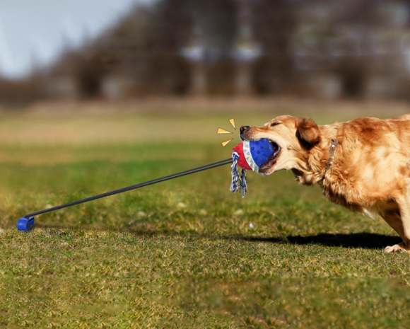 Dogs&Co Trekspeeltje  met grondpen  nieuw model Blauw