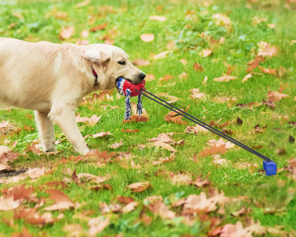 Dogs&Co Trekspeeltje  met grondpen  nieuw model Blauw