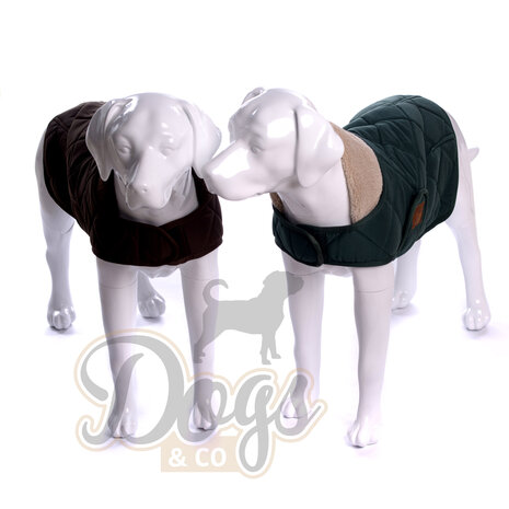 Dogs&Co Honden Winterjas Groen Quilt