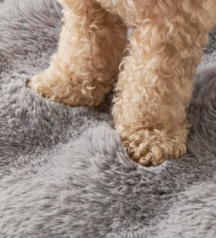 Ultrazacht Bankdeken voor Honden - Beige (75 cm)