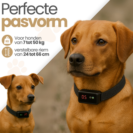 Dogs&Co® Ultrasone Anti-blafband