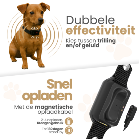 Dogs&Co® Ultrasone Anti-blafband