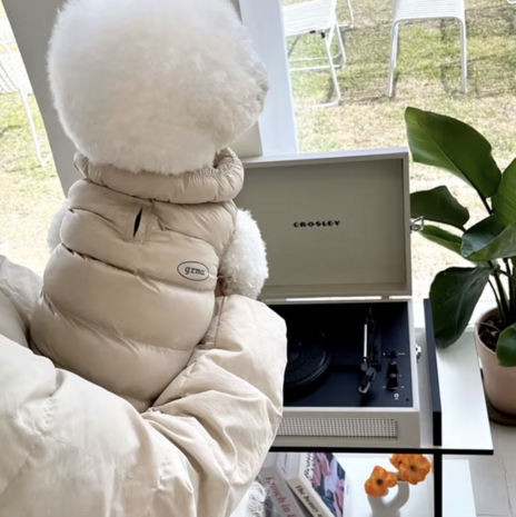Winter Dons Jas Beige voor kleine honden