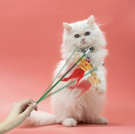 Christmas Cat Teaser Toy – Kerstspeeltje voor katten