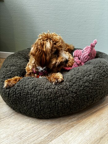 Dogs&Co® Donut Teddy 60cm Groen