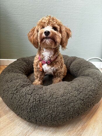 Dogs&Co® Donut Teddy 60cm Bruin