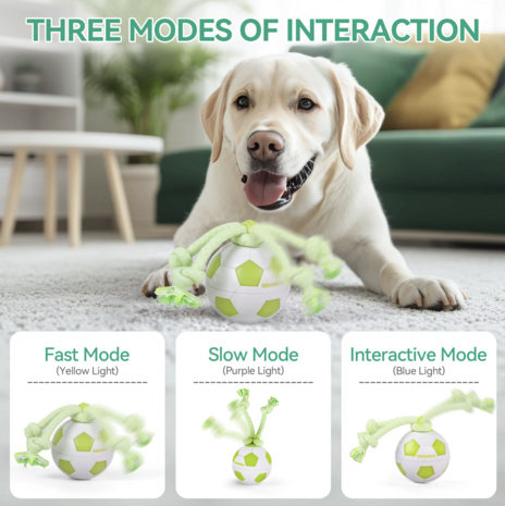 Dogs&Co® Interactieve speelbal 