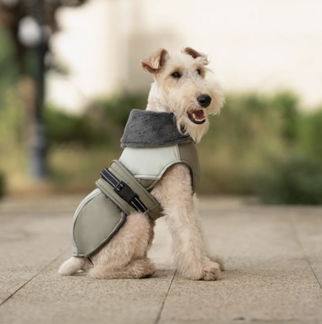 Dogs&Co® Honden winterjas groen met bontkraag