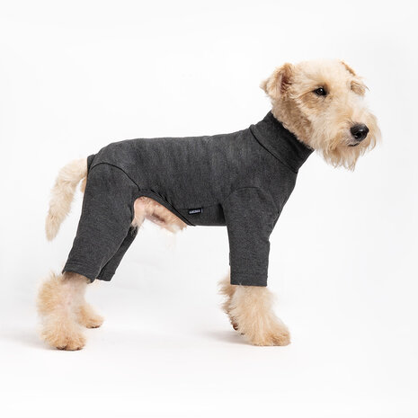 Dogs&Co® Comfort Jumpsuit voor Honden  Antraciet