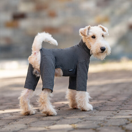Dogs&Co® Comfort Jumpsuit voor Honden  Antraciet