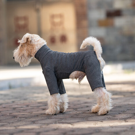 Dogs&Co® Comfort Jumpsuit voor Honden  Antraciet