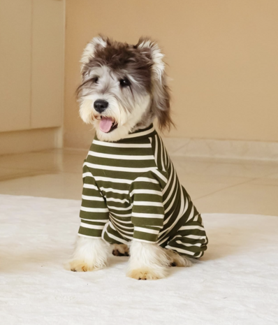 Dogs&Co® Comfort Jumpsuit voor Honden Mosgroen