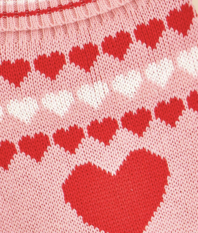 Hondentrui Grijs Hartjes voor kleine honden