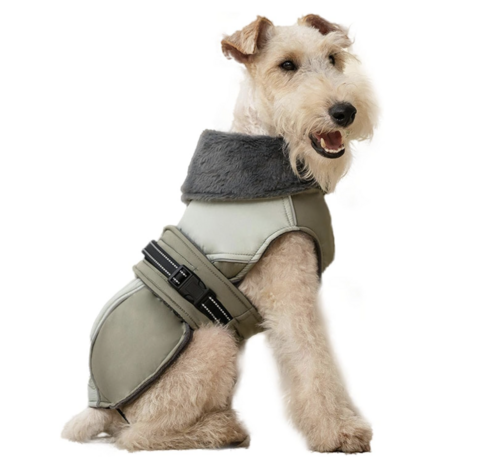 Dogs&Co&reg; Honden winterjas groen met bontkraag