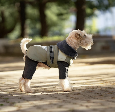 Dogs&Co&reg; Honden winterjas groen met bontkraag