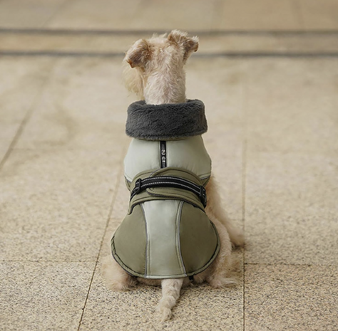 Dogs&Co&reg; Honden winterjas groen met bontkraag
