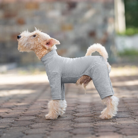 Dogs&Co&reg; Comfort Jumpsuit voor Honden Grijs