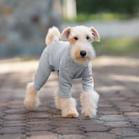 Dogs&Co&reg; Comfort Jumpsuit voor Honden Grijs