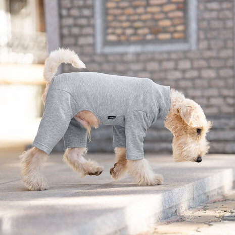 Dogs&Co&reg; Comfort Jumpsuit voor Honden Grijs