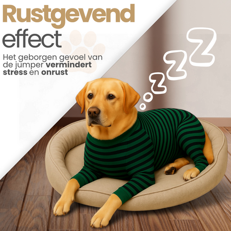 Dogs&Co&reg; Comfort Jumpsuit voor Honden  Navy/Groen