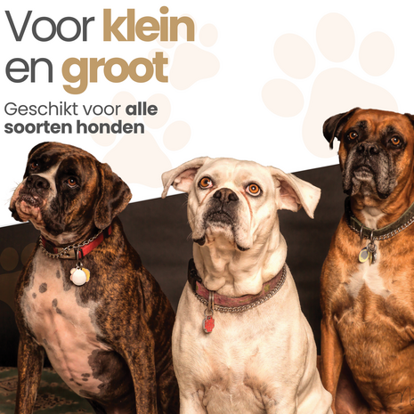 Dogs&Co&reg; Honden Loopplank 150x40cm -Kunststof Frame 