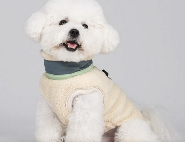 Honden Teddy winterjas Ecru