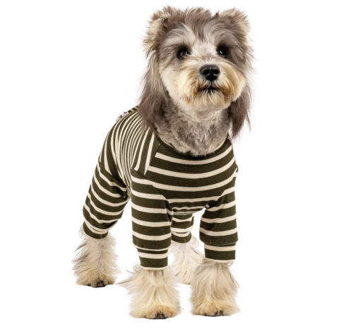 Dogs&Co&reg; Comfort Jumpsuit voor Honden Mosgroen