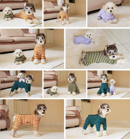 Dogs&Co&reg; Comfort Jumpsuit voor Honden Mosgroen
