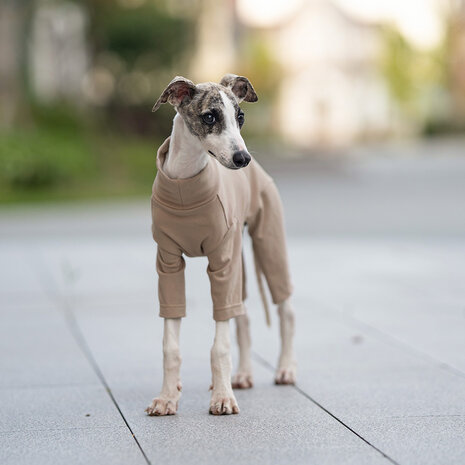 Dogs&Co&reg; Comfort Jumpsuit voor Honden Khaki