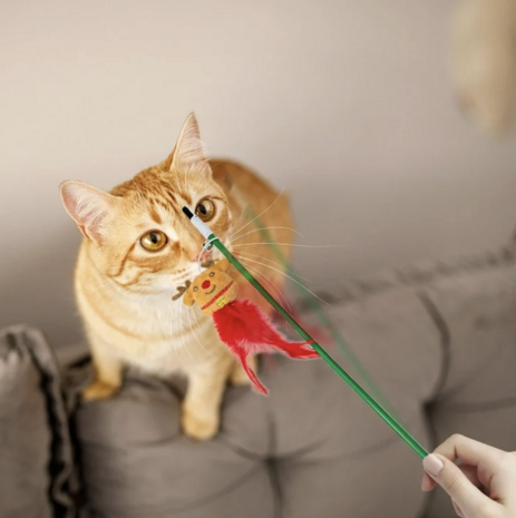 Christmas Cat Teaser Toy &ndash; Kerstspeeltje voor katten