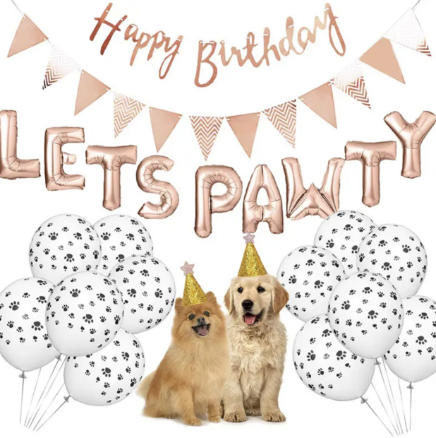 Verjaardags set voor de hond  Goud