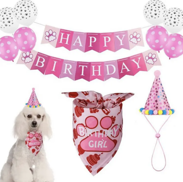 Verjaardags set voor de hond 4 delig  Roze