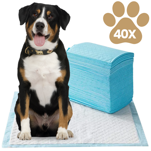 Dogs&amp;Co Puppypads 60x60cm 40 stuks